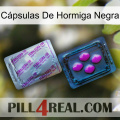 Cápsulas De Hormiga Negra 37